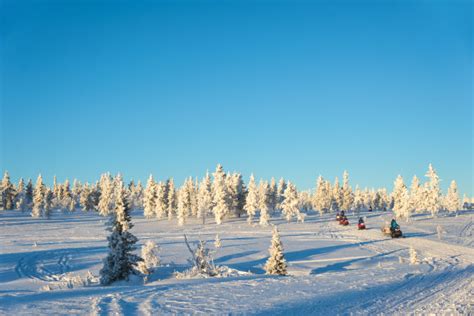 拉普兰 冬天 雪 寒冬 芬兰 冷 雪景 冬季的心情 性质图片下载 - 觅知网
