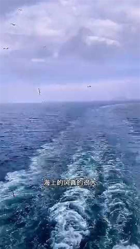媒眼看烟台：渤海轮渡架起“双引擎” 助力烟台海运大发展_胶东在线旅游频道