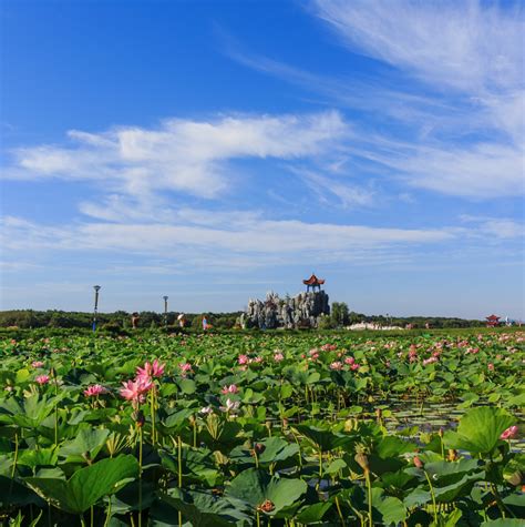 黑龙江十大夏季避暑旅游景点-黑龙江避暑的好地方有哪些-黑龙江避暑胜地有哪些-排行榜123网