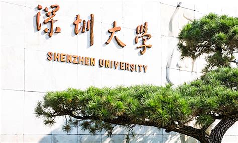 创新办学模式，让深圳高等教育跑出加速度_深圳新闻网