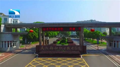 武汉船舶职业技术学院-VR全景城市