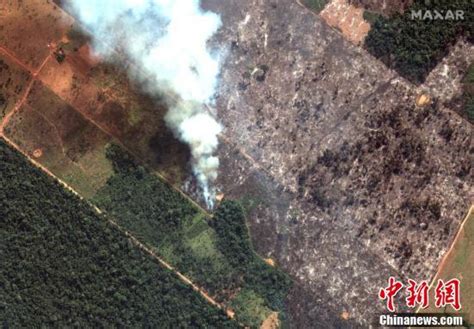 亚马逊热带雨林大火 马克龙呼吁聚焦“国际危机”_手机新浪网