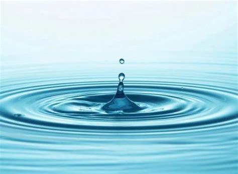 水面涟漪是如何形成的？简单的现象内藏大学问|涟漪|水分子|水面_新浪新闻