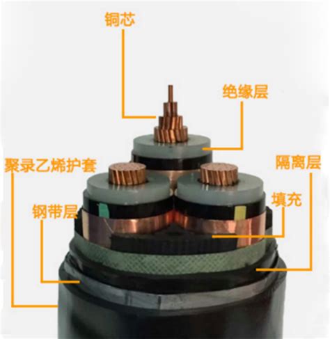 丽江YJV22 26/35KV高压电缆-郑州网电全塑电缆有限公司