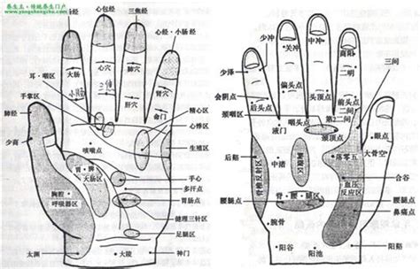 手指养生法：常按这些穴位，头不晕了，胃不胀了，胸不闷了|穴位|指尖|手指_新浪新闻