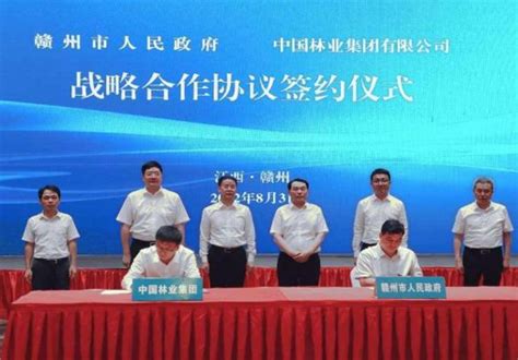 中林集团与赣州市人民政府签署战略合作协议-中林动态-胜握胜