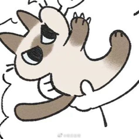 暹罗猫表情包/あずきさん图片