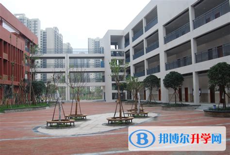 高青县第六中学2022年招生工作实施意见-招生信息-政务公开-高青县教育和体育局