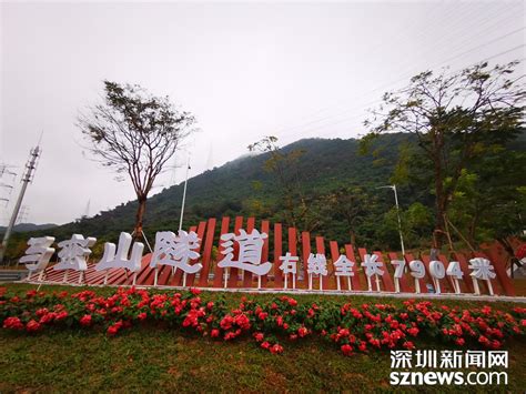 六和城321(2021年407米)深圳坪山-全景再现