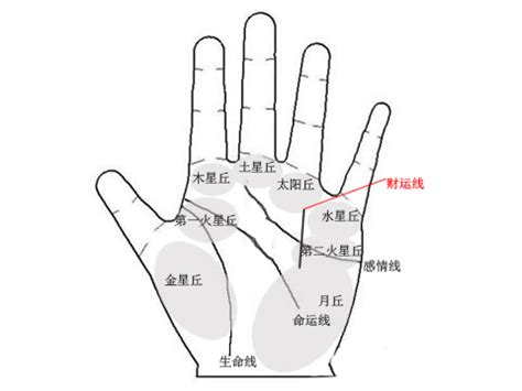 看手相图解图片