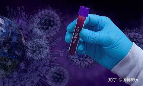 首个基于一次性技术的临床级病毒载体CDMO平台在上海张江启动-和元生物