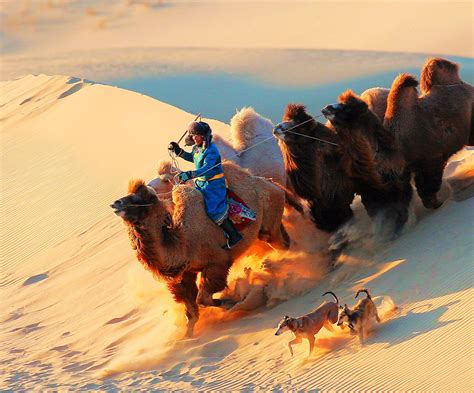 实拍内蒙古局地现强沙尘暴：滚滚黄沙袭来，巨型“沙墙”遮天蔽日_腾讯视频