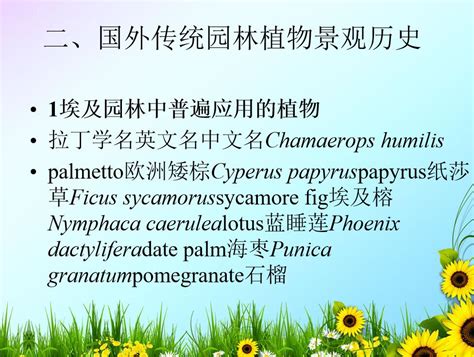 灵草植物园林1000&#215;666666&#215;30图片