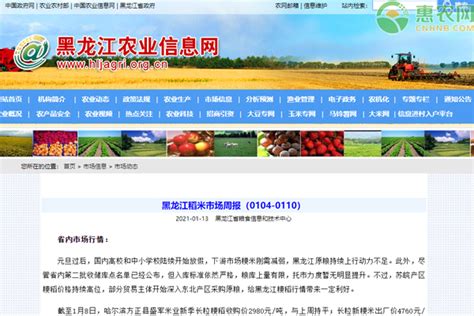 黑龙江稻米市场周报（0104-0110） - 惠农网