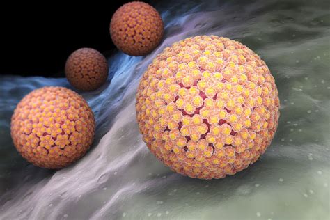 What Is HPV? | Live Science
