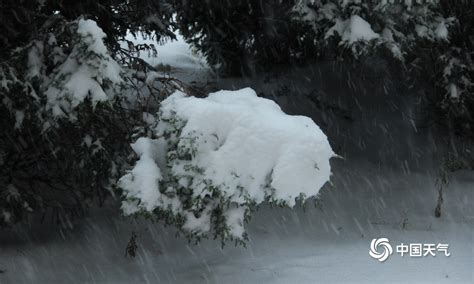 厚厚积雪的公园高清图片下载-正版图片600938240-摄图网