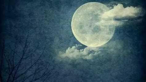 古人描写月亮的诗句有哪些（分享49个月亮唯美诗句）-我爱育娃