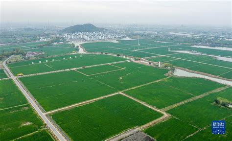 台州全域土地综合整治启示：空间“智治”赋能高质量发展-台州频道