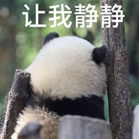 托腮动图表情包图片