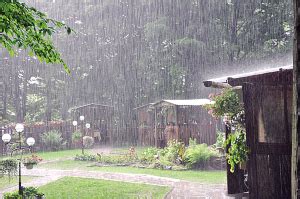 家乡的雨 - 青梓文学网-专注高校文学