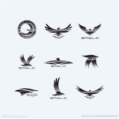 矢量动物肖像标志图片-矢量创意单色老鹰标志设计素材-高清图片-摄影照片-寻图免费打包下载
