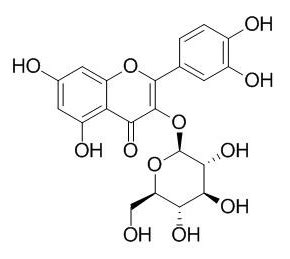 异槲皮素98% 异槲皮苷Isoquercitrin 482-35-9 槐米提取物 HPLC测-阿里巴巴