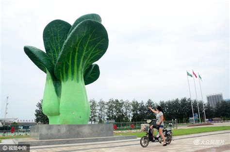 寿光巨型蔬菜雕塑造型逼真引路人拍照 - 海报新闻