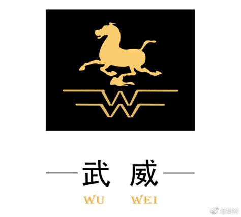 甘肃省武威市文化旅游统一标志（Logo）征集网络投票开始啦！