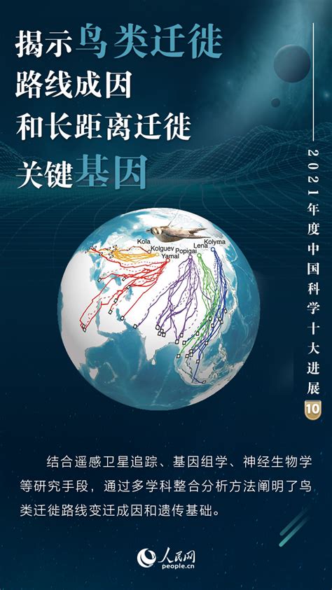 感动中国2021年度人物设计图__展板模板_广告设计_设计图库_昵图网nipic.com