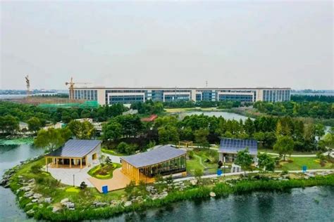 江苏泰州兴化依托生态优势，打造“互联网+河蟹”产业链