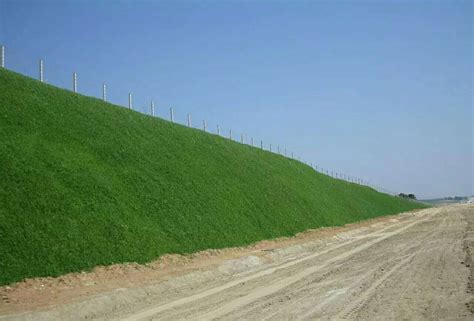 边坡绿化选种---灌木火棘 - 边坡绿化|草坪草籽|草种批发|花卉种子|牧草种子|南宁景龙生态科技有限公司
