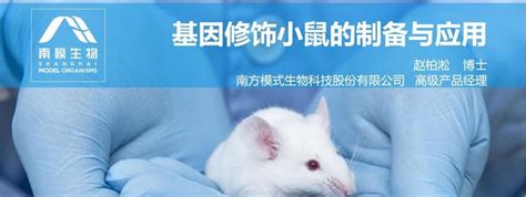 动物模型,动物疾病模型,动物实验服务,武汉云克隆动物有限公司