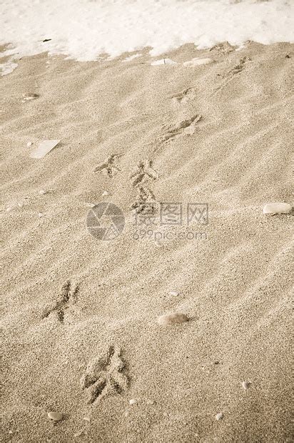 追踪沙中鸟海鸥足迹抽象的晴天高清图片下载-正版图片307673594-摄图网