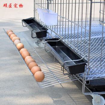 手绘鸡笼上的公鸡和草地上的小鸡矢量素材AI免费下载_红动中国