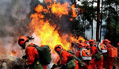 四川森林消防员图片 的图像结果