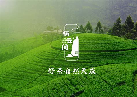贵州茶叶出口突破一亿美元 -食品商务网资讯