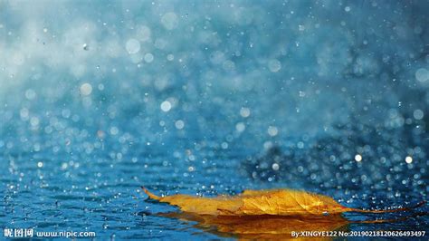 雨水落在水面上图片-雨滴落在水面上素材-高清图片-摄影照片-寻图免费打包下载