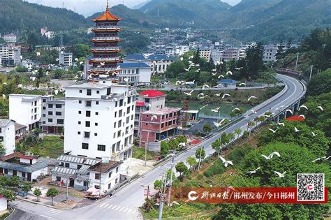 郴州桂东：打造政务服务新形象 - 县域要闻 - 新湖南
