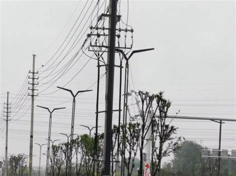 大货车撞断电杆 抢修7小时后恢复供电-中国庆元网