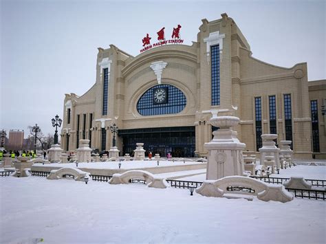 熊黛林哈尔滨看雪图片