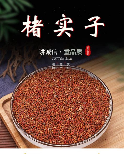 褚实子图片