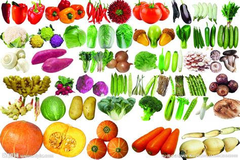 常见的100种蔬菜名称,种类,好听_大山谷图库