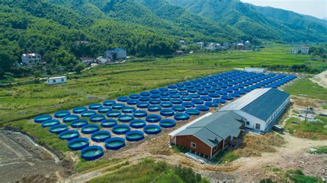 这四种环保高效的新型养殖模式将大力推广-武汉益多康水质调节剂改良剂厂家
