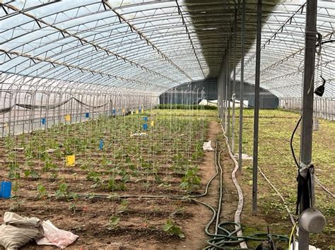 部分栽培设施展示_北京绿东国创农业科技有限公司