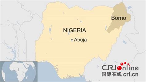 眼瞅尼俄签署防务协议，美国急忙宣布：计划与尼日尔恢复安全关系_凤凰网