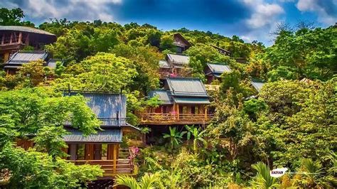 保亭是世界唯一有热带雨林又有天然温泉的地方_旅游资源