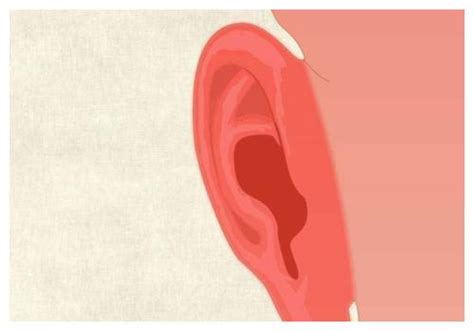 耳朵上各部位的痣代表的寓意你知道吗，你的耳朵上有痣吗？|耳朵|桃花|异性_新浪新闻