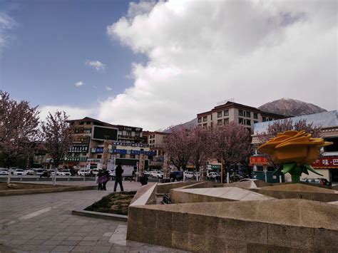 西藏林芝八一镇海拔多高