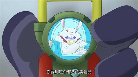 仓鼠飞轮图片
