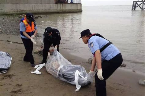武汉水上公安分局打捞114具无名尸体近半找不到亲人_新浪湖北_新浪网